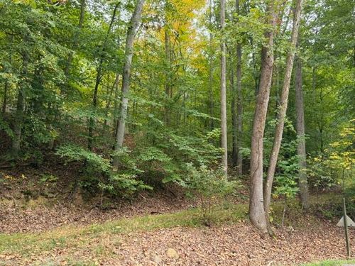 0 Narrow Passage Rd, Eagle Rock, VA, 24085 | Card Image