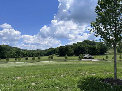 9004 Passiflora Ct, College Grove, TN, 37046-2017 | Card Image