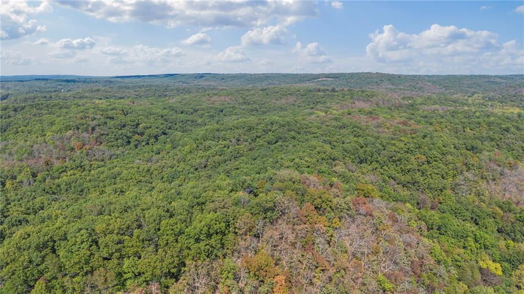 Land in Gravois Mills 5