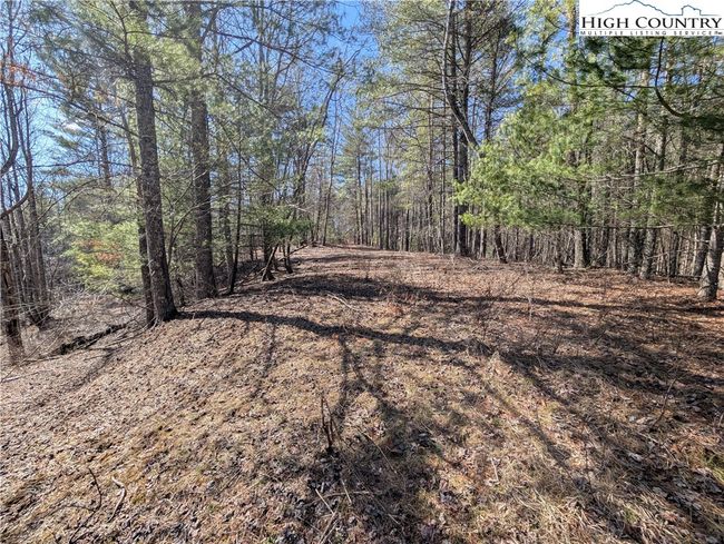 The road into and on the property | Image 10