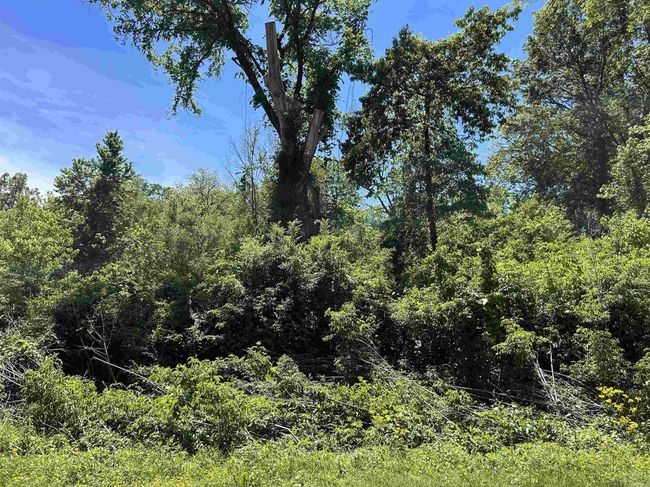 0 Highway 270 W, Home with 0 bedrooms, 0 bathrooms and null parking in Prattsville AR | Image 8