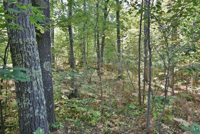 Lot 1 County Highway C, Home with 0 bedrooms, 0 bathrooms and null parking in Cornucopia WI | Image 5