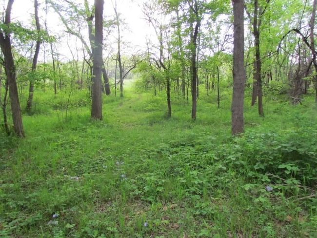 Tract 1 Renick Road, Home with 0 bedrooms, 0 bathrooms and null parking in Oak Grove MO | Image 11