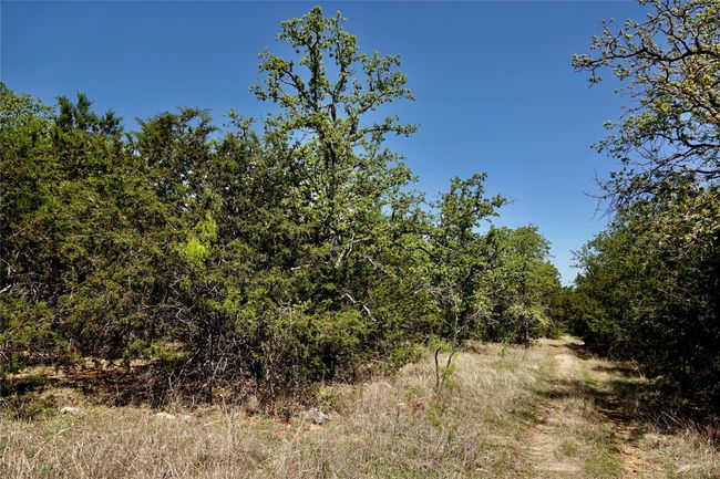 12345 County Road 107, Home with 0 bedrooms, 0 bathrooms and null parking in Mingus TX | Image 10