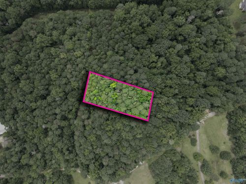 1 ac County Road 427, Fort Payne, AL, 35967 | Card Image