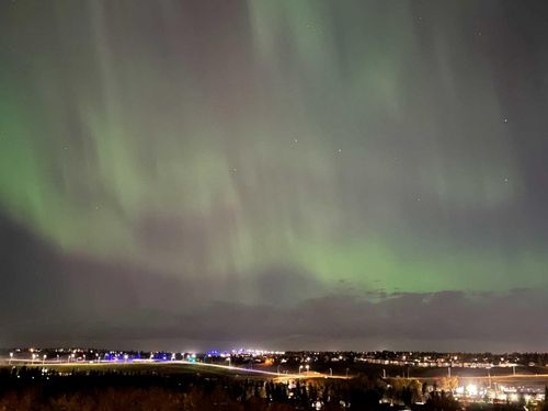 811-8604 48 Ave Nw, Calgary, AB, T3B5E6 | Card Image