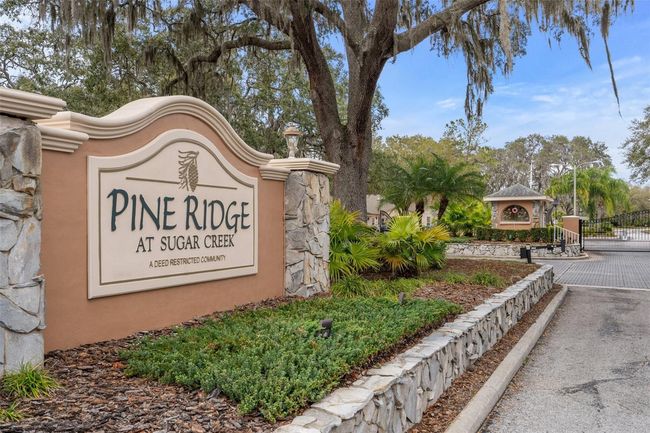 13134 Cypress Hill Dr, House other with 2 bedrooms, 2 bathrooms and null parking in HUDSON FL | Image 43