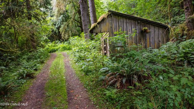 79779 Highway 103, Home with 0 bedrooms, 0 bathrooms and null parking in Seaside OR | Image 6