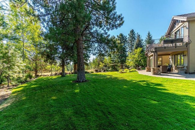 Backyard | Image 5