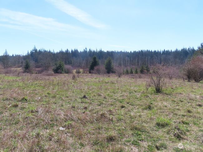 B - 107 Avery Rd W, Home with 0 bedrooms, 0 bathrooms and null parking in Napavine WA | Image 16