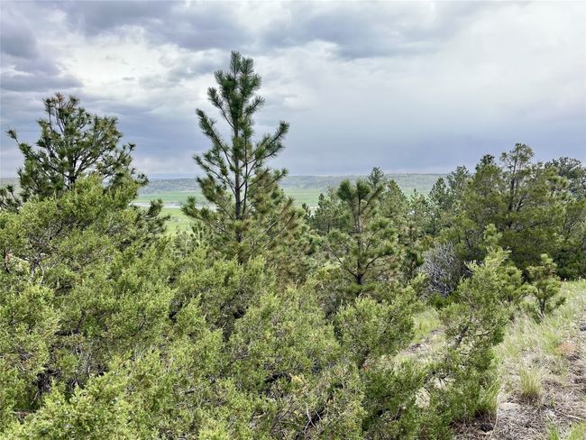 69 Colter Trl, Home with 0 bedrooms, 0 bathrooms and null parking in Columbus MT | Image 20
