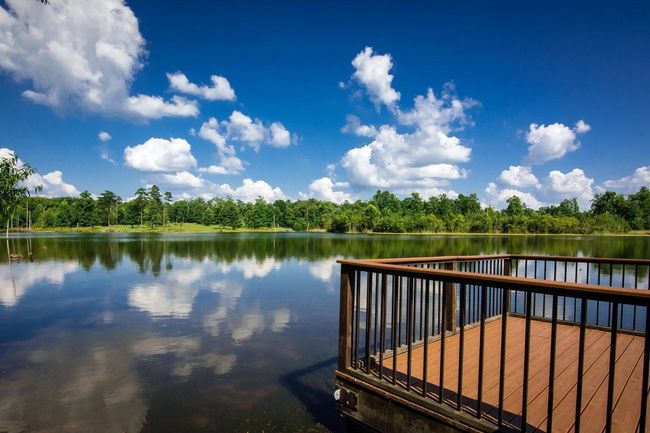 14 - 292 Log Cabin Ln, House other with 3 bedrooms, 2 bathrooms and 2 parking in Dunlap TN | Image 65