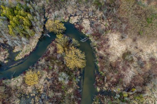 0 River Rd, Benzonia, MI, 49616 | Card Image