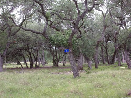 115 La Luna Dr, Blanco, TX, 78606-2110 | Card Image
