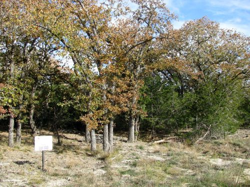 Lot 140 Ph 6 County Road 421, Evant, TX, 76566 | Card Image