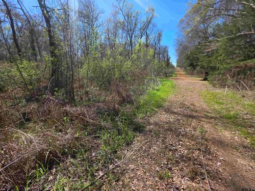 1230 Balmorea Dr, Bullard, TX, 75757 | Card Image