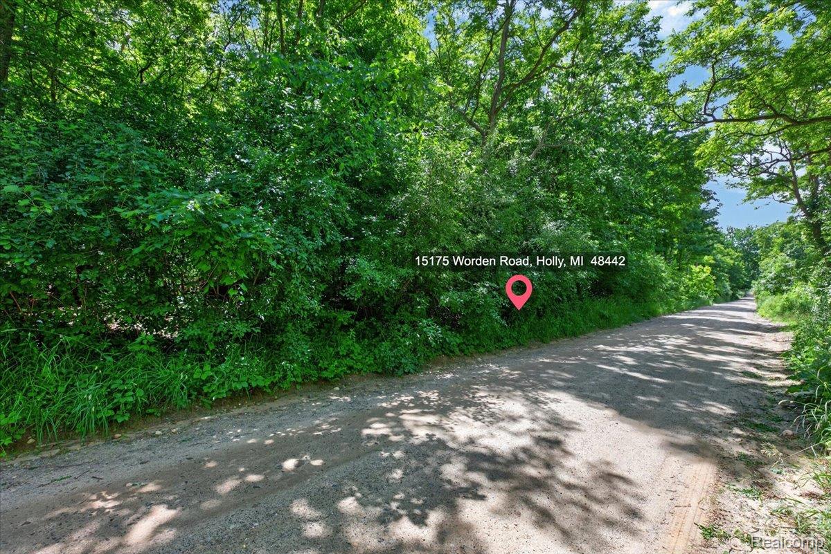 Residential in Groveland Township 4