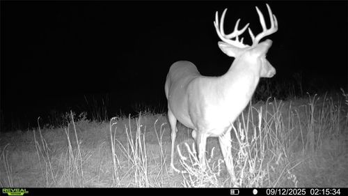 5480 State Route A Rural Route, Higbee, MO, 65257 | Card Image