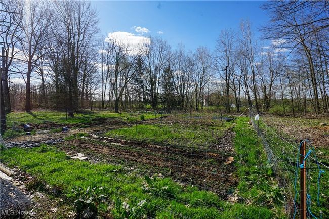 View of yard | Image 24