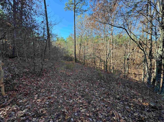 00 Calico Rd, Home with 0 bedrooms, 0 bathrooms and null parking in Clinton AR | Image 37