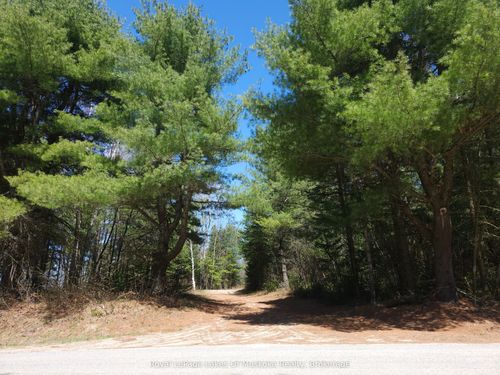 0 Old Muskoka Rd, Perry, ON, P0A1J0 | Card Image
