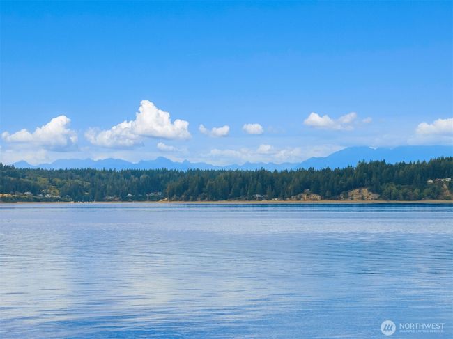 11901 Larson Rd, House other with 1 bedrooms, 1 bathrooms and null parking in Anderson Island WA | Image 33