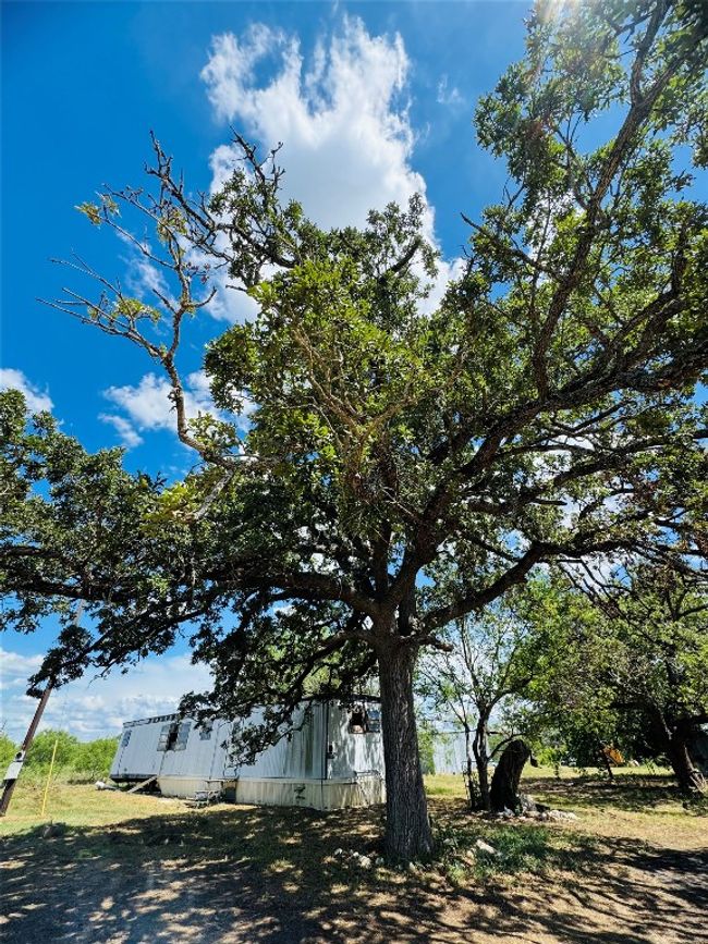 1194 Track Rd, Home with 0 bedrooms, 0 bathrooms and null parking in Red Rock TX | Image 9