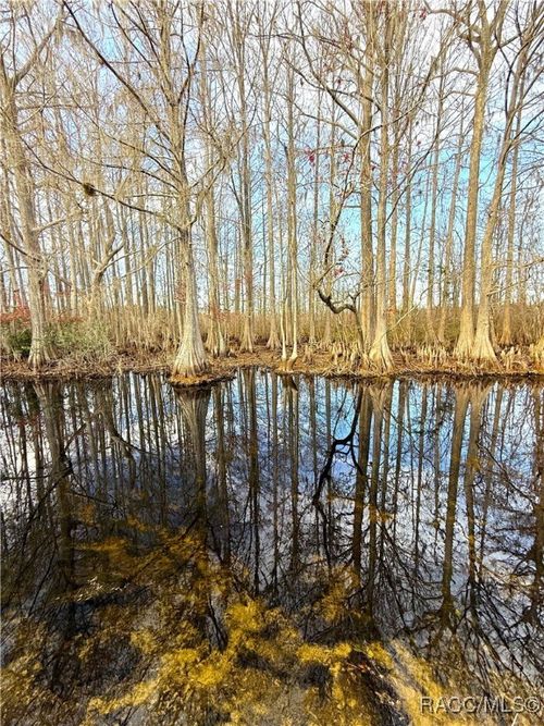 11615 E Salmon Drive, FLORAL CITY, FL, 34436 | Card Image