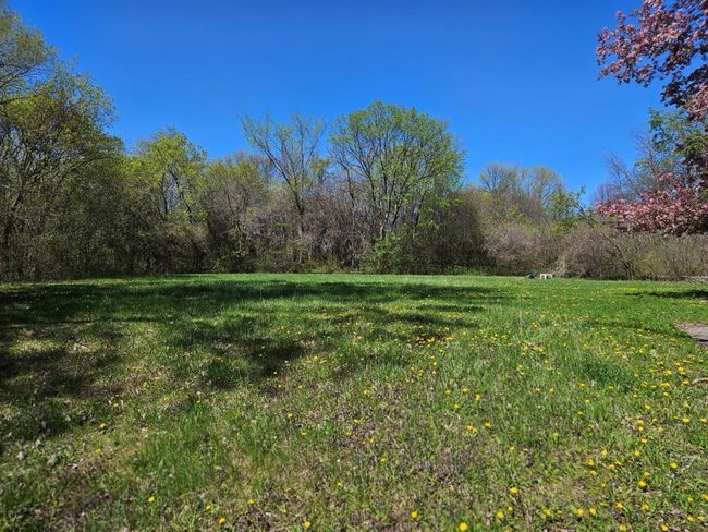 Secluded green space | Image 28