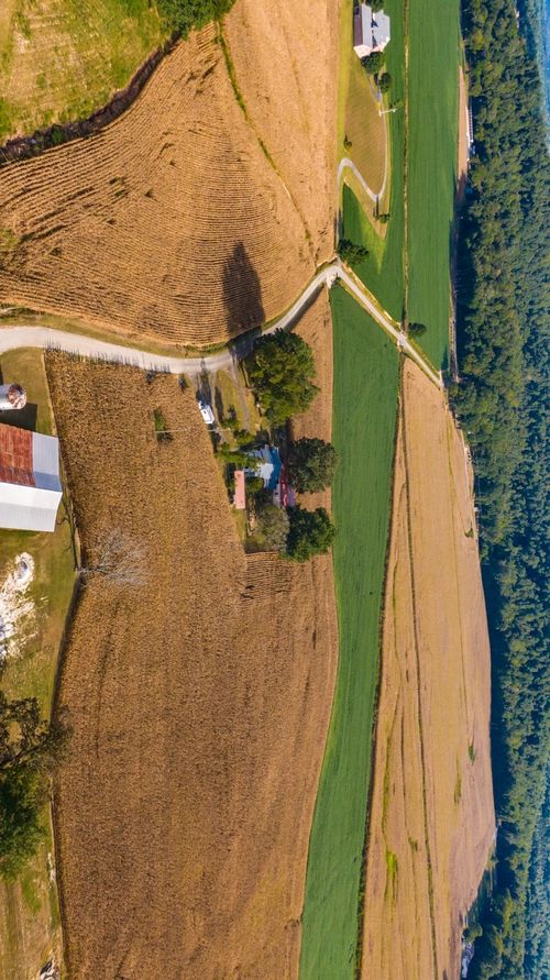 1318 Vise Loop, Decaturville, TN, 38329-5261 | Card Image