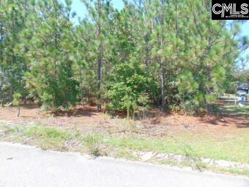113 Arrowpoint Dr, Gaston, SC, 29053-8415 | Card Image