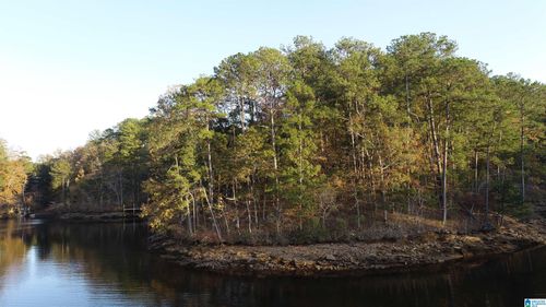 1-01 County Road 804, Wedowee, AL, 36278 | Card Image