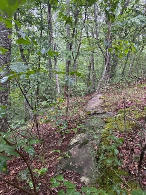 Lot 33 Wilson Ridge Road, Wilder, TN, 38589 | Card Image