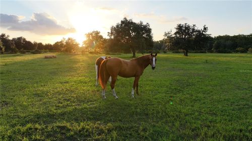 45855 Clay Gully Rd, MYAKKA CITY, FL, 34251 | Card Image