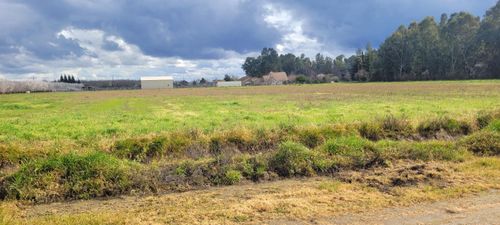 51090 County Road 4, Dunnigan, CA, 95937 | Card Image