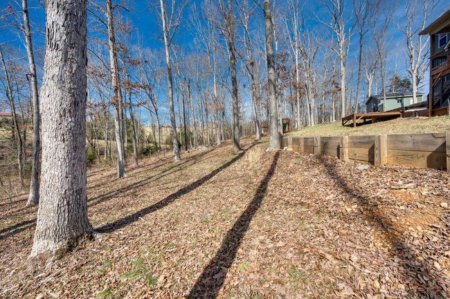 Back yard | Image 69