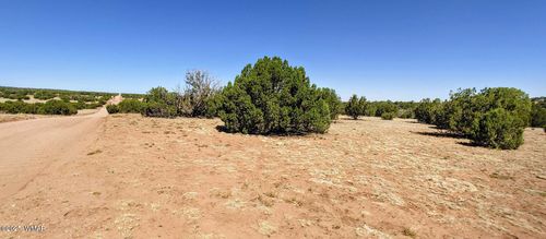 9182 Big Iron Ranch Rd, Show Low, AZ, 85901 | Card Image