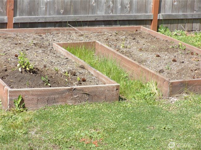 Raised beds for an easy garden. | Image 27
