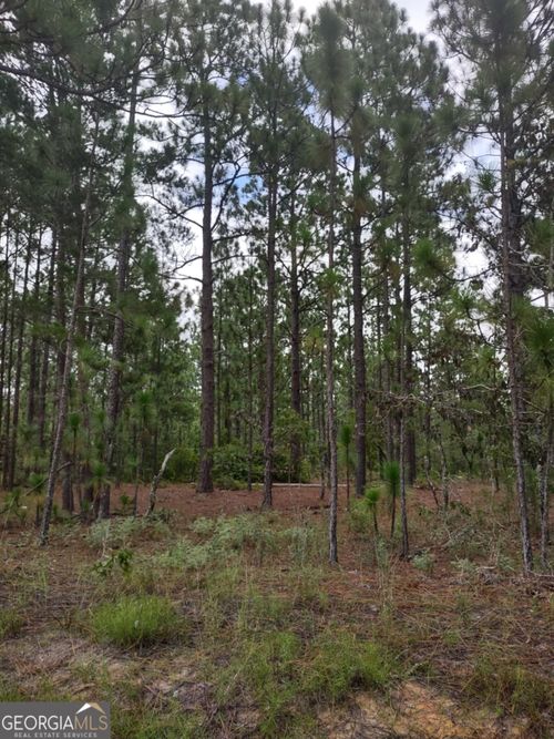 0 James Stubbs Rd, Mauk, GA, 31058 | Card Image