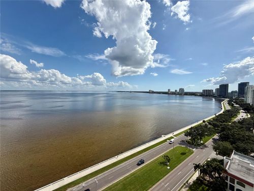 unit-1805-2413 Bayshore Blvd, TAMPA, FL, 33629-7336 | Card Image