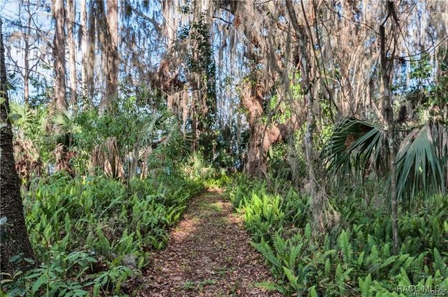 3184 N Edward Island Pt, House other with 2 bedrooms, 1 bathrooms and 1 parking in Hernando FL | Image 25