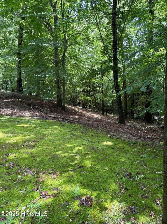 108 Gambit Ct, House other with 4 bedrooms, 3 bathrooms and 2 parking in Washington NC | Image 14
