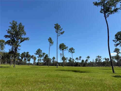 DO #8 (10ac) Nw 193rd St, Micanopy, FL, 32667 | Card Image