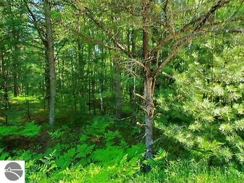 0 Hillside Dr, Alger, MI, 48610 | Card Image
