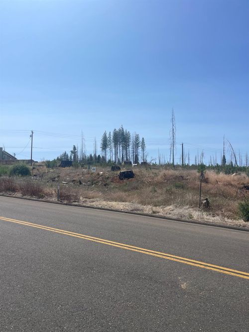 10141 Grizzly Flat Rd, Grizzly Flats, CA, 95636-9702 | Card Image