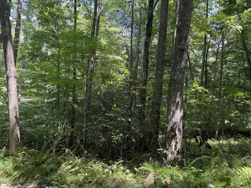 Lot 5 Blair Creek Rdg, Hayesville, NC, 28904-9664 | Card Image