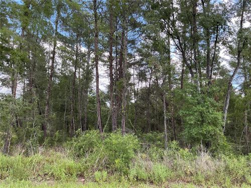 LOT 1 Bay Court Pass, Ocklawaha, FL, 32179-5602 | Card Image