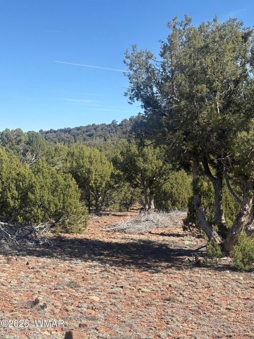 88 North 8714, Concho, AZ, 85924 | Card Image