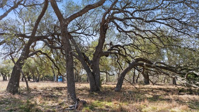 View of landscape | Image 6