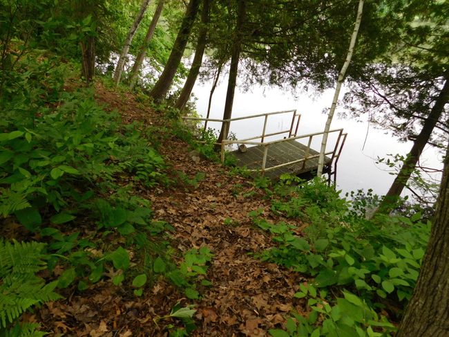 6832 S Forest Haven Rd, House other with 2 bedrooms, 1 bathrooms and null parking in Shawano WI | Image 41